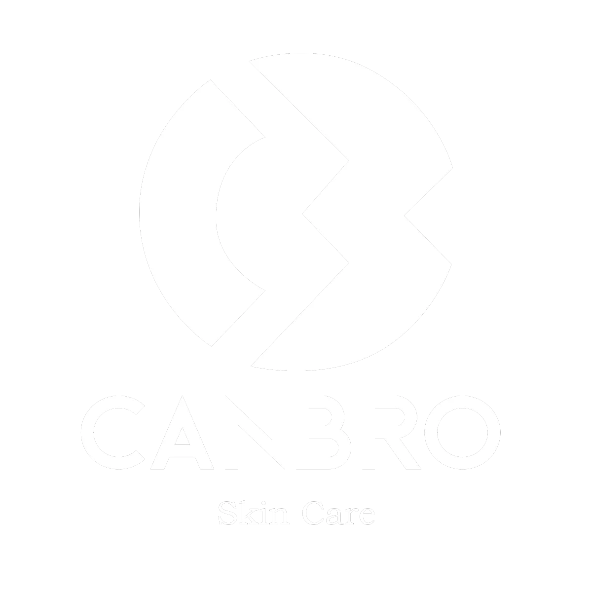 small logo white no bg